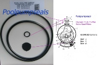 Hayward Filter O-rings